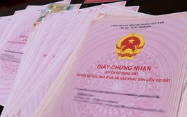 Tự chuyển mục đích sử dụng đất có được cấp đổi Giấy chứng nhận?