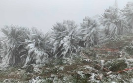 Miền Bắc trời chuyển rét, vùng núi rét đậm, rét hại