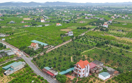 Tháo gỡ vướng mắc các dự án đất đai và triển khai Chương trình mục tiêu quốc gia