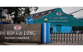 Bắt khẩn cấp Tổng Giám đốc Công ty cổ phần đồ hộp Hạ Long