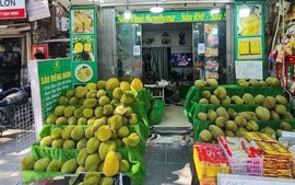 Chuẩn hóa sản xuất sầu riêng: Câu chuyện của sản phẩm đi đầu