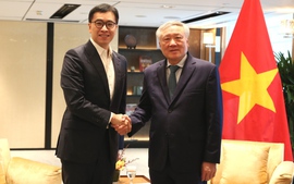 Khuyến khích các tổ chức tài chính quốc tế uy tín thúc đẩy hợp tác, đầu tư tại Việt Nam