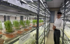 Khoa học công nghệ dẫn dắt nông nghiệp Việt Nam vượt “giới hạn” tăng trưởng truyền thống