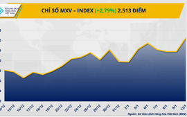 Dòng tiền đổ vào thị trường hàng hóa, MXV-Index lập đỉnh 5 năm