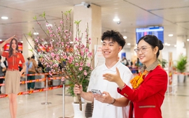 Vietjet nhận vận chuyển mai, đào Tết Nguyên đán 2026 từ ngày 15/1