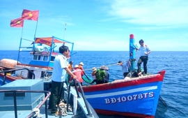 Công điện của Thủ tướng Chính phủ về việc tiếp tục tập trung thực hiện nhiệm vụ chống khai thác hải sản bất hợp pháp, không báo cáo, không theo quy định (IUU)