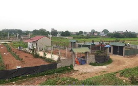 Xây nhà trên đất khai hoang có được xem xét cấp Giấy chứng nhận?