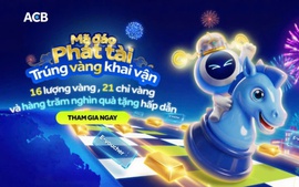 Cơ hội trúng vàng dịp Tết 2026 khi tham gia chương trình 'Mã đáo phát tài' của ACB