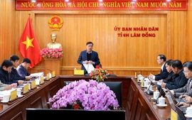 Lâm Đồng tháo gỡ vướng mắc 2 dự án đường dây 500 kV trọng điểm