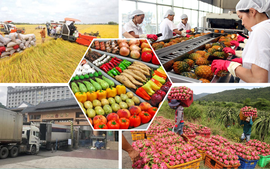 Hỗ trợ nông dân xây dựng thương hiệu, nhãn hiệu hàng hóa nông sản