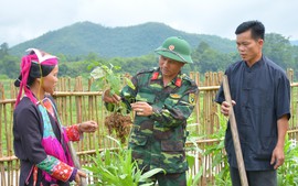 Triển khai Đề án giáo dục, tuyên truyền về Quân đội tham gia lao động sản xuất trên phạm vi cả nước