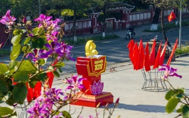 Rực rỡ cờ, hoa chào mừng Đại hội XIV của Đảng