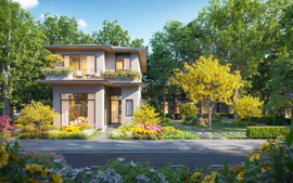 Rừng Mai: Mảnh ghép đầu tiên mở ra Mùa Lễ hội tại Eco Retreat