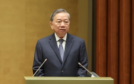 Việt Nam sẵn sàng làm thành viên sáng lập của Hội đồng Hoà bình Dải Gaza