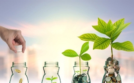 Đề xuất sửa quy định về ngành, nghề ưu đãi đầu tư, địa bàn ưu đãi đầu tư, ưu đãi, hỗ trợ đầu tư đặc biệt