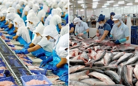 Danh mục động vật, sản phẩm động vật thủy sản thuộc diện phải kiểm dịch, miễn kiểm dịch