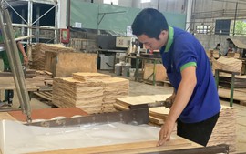 Đưa nông sản 'bay xa' bằng con đường ngoại giao