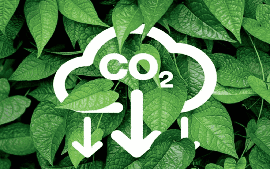 Quy định về sàn giao dịch các-bon trong nước