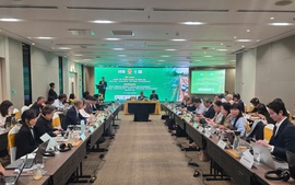 Kinh tế tuần hoàn từ rơm rạ mở lối cho nông nghiệp phát thải thấp