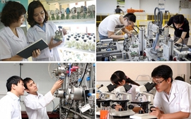 Hoàn thiện chính sách hỗ trợ các chủ thể tham gia hoạt động chuyển giao công nghệ