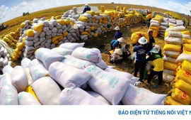Việt Nam đạt kỷ lục dự trữ nhà nước 500.000 tấn lương thực