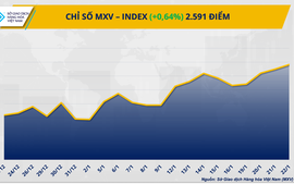 THỊ TRƯỜNG HÀNG HÓA: Bạc lập đỉnh lịch sử, MXV-Index nối dài chuỗi tăng phiên thứ ba