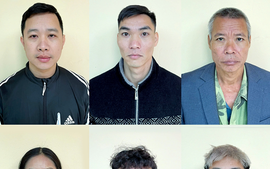 Khởi tố 6 đối tượng thu mua, giết mổ lợn chết, lợn mắc bệnh tả lợn châu Phi