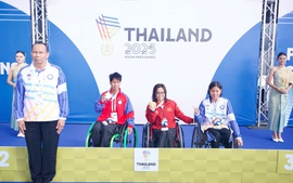 Thành tích nổi bật của đoàn Thể thao Người khuyết tật Việt Nam tại ASEAN Para Games 13