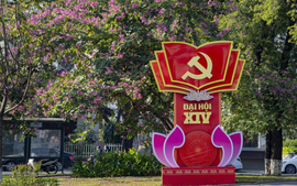 Phát huy tinh thần đổi mới mạnh mẽ, tư duy phát triển đột phá