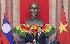 Chủ tịch nước Lương Cường hội kiến Tổng Bí thư, Chủ tịch nước Lào