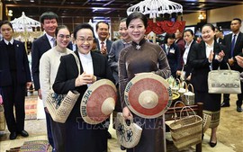 Phu nhân của Tổng Bí thư Tô Lâm cùng Phu nhân của Tổng Bí thư, Chủ tịch nước Lào thăm và hoạt động tại Ninh Bình