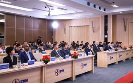 EVN và Hitachi Energy trao đổi giải pháp công nghệ cho hệ thống điện