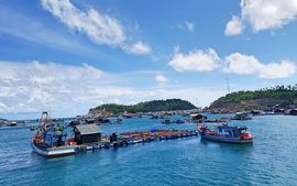 Quy định mới về các trường hợp từ chối giao khu vực biển