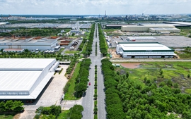 Xác định chủ thể thuê đất đối với dự án liên danh