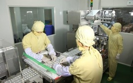 Điều kiện bảo đảm an toàn thực phẩm trong sản xuất thực phẩm bảo vệ sức khỏe