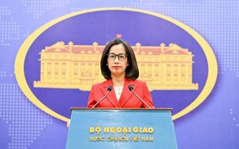 Việt Nam ủng hộ kế hoạch hòa bình về chấm dứt xung đột tại Dải Gaza