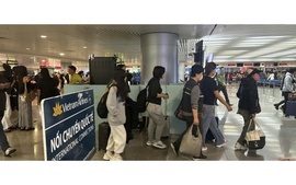 Tăng cường kiểm soát, phòng chống bệnh do virus Nipah tại sân bay