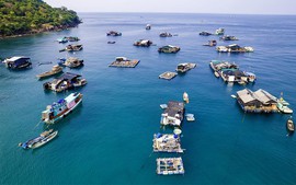 An Giang vươn ra biển lớn: Động lực tăng trưởng xanh và bền vững