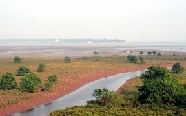 Đất bãi bồi sử dụng ổn định có được bồi thường khi thu hồi?