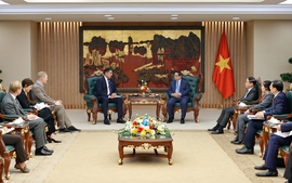 Thủ tướng tiếp Lãnh đạo các tập đoàn dệt may