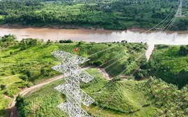 Savan 1, dòng điện xuyên biên giới và vai trò của kinh tế tư nhân