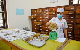 Quy định về kê đơn thuốc cổ truyền, thuốc dược liệu