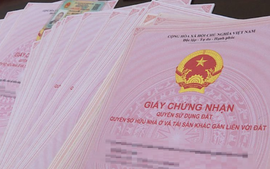 Không có giấy tờ giao đất, cấp Giấy chứng nhận theo điều khoản nào?