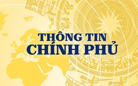 Từ kênh thông tin chính thống đến “cầu nối” giữa Chính phủ và người dân, doanh nghiệp