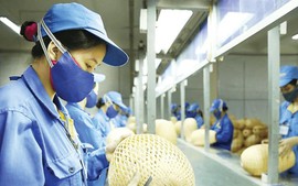Hướng dẫn quản lý, sử dụng kinh phí khuyến công