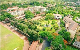 Chuyển giao Trường Cao đẳng Nông Lâm Đông Bắc về UBND thành phố Quảng Ninh quản lý