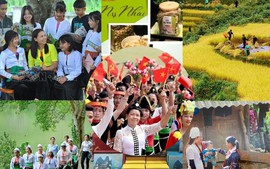 Lập BCĐ Trung ương thực hiện Chương trình MTQG phát triển văn hóa-xã hội, nông thôn, dân tộc và miền núi