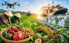Chỉ đạo, điều hành của Chính phủ, Thủ tướng Chính phủ nổi bật tuần 10-16/10/2026