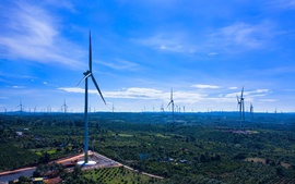 Trungnam Group chuẩn bị xây Dự án Nhà máy điện gió Đình Lập 5 tại Lạng Sơn