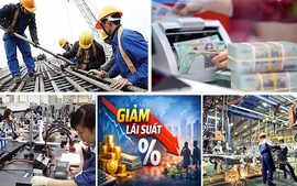 Dấu ấn Chính phủ tuần qua: Đổi mới căn bản từ những việc nhỏ nhất